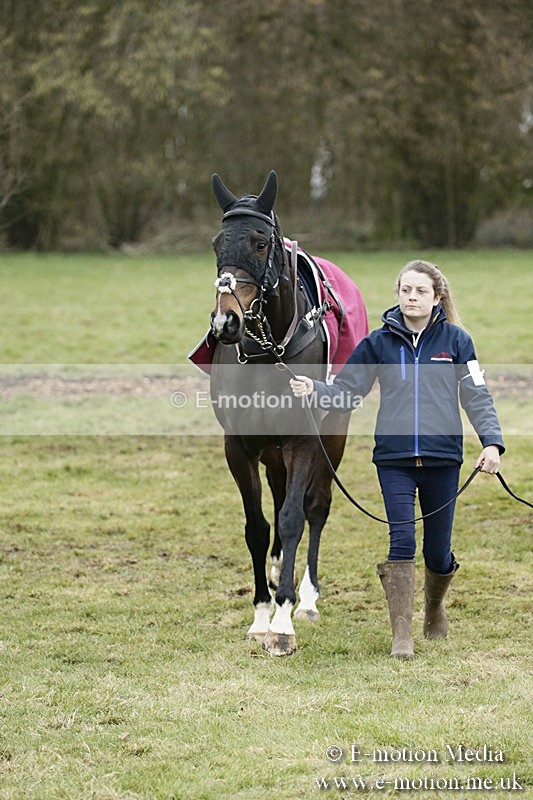 PtP 110318 89 - Hampshire Hunt Point-to-Point Hackwood Park 11/03/18