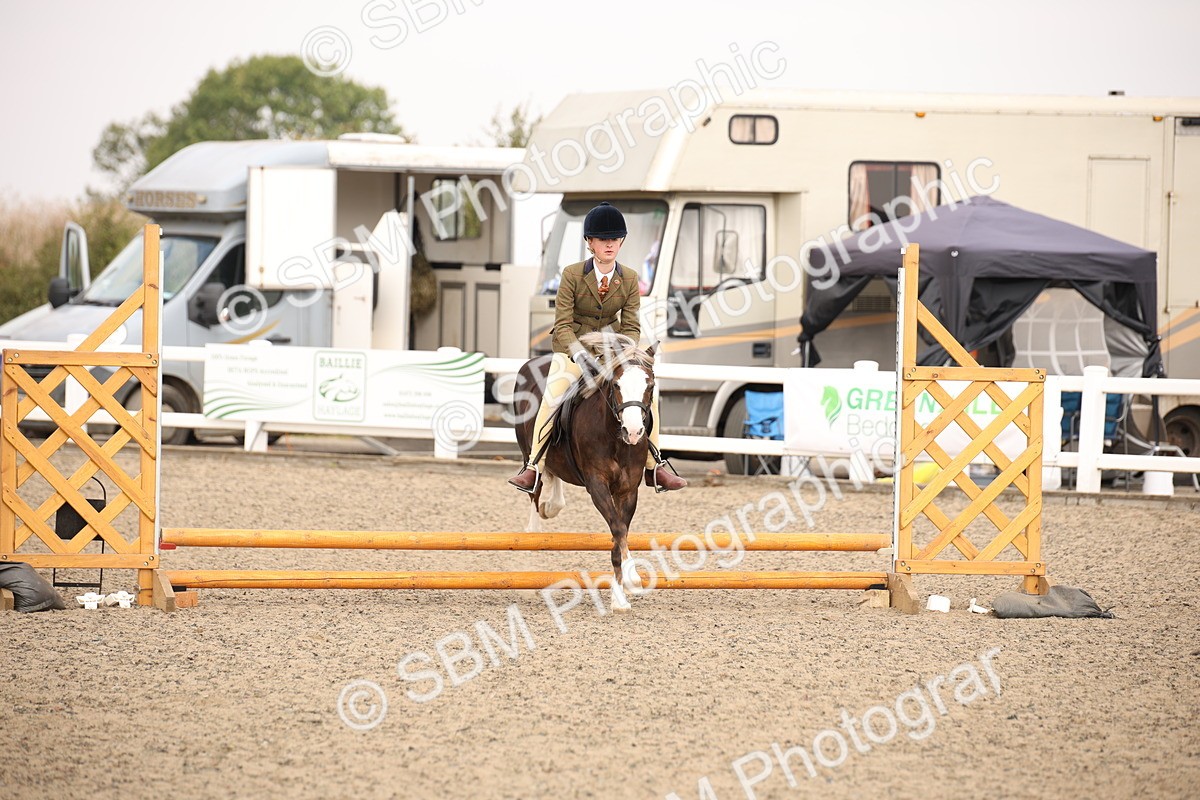 SBM_12574 - Class 405b - M&M Working Veteran 50cm 20+