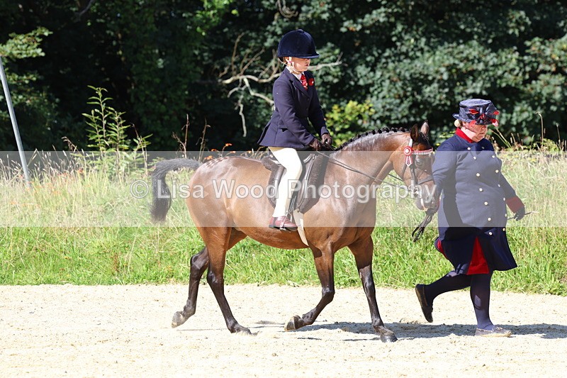 3E7A8013 - Class 15: Lead Rein