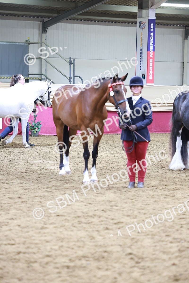 SBM_20132 - Class C - Novalty Champ