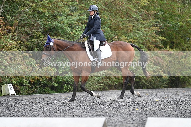 WJ7_6477 - Time 14:49 to 15:14