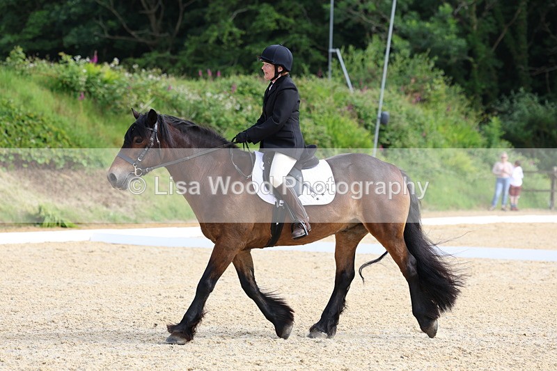 3E7A1377 - Class 1: Intro 2 2024 Section A