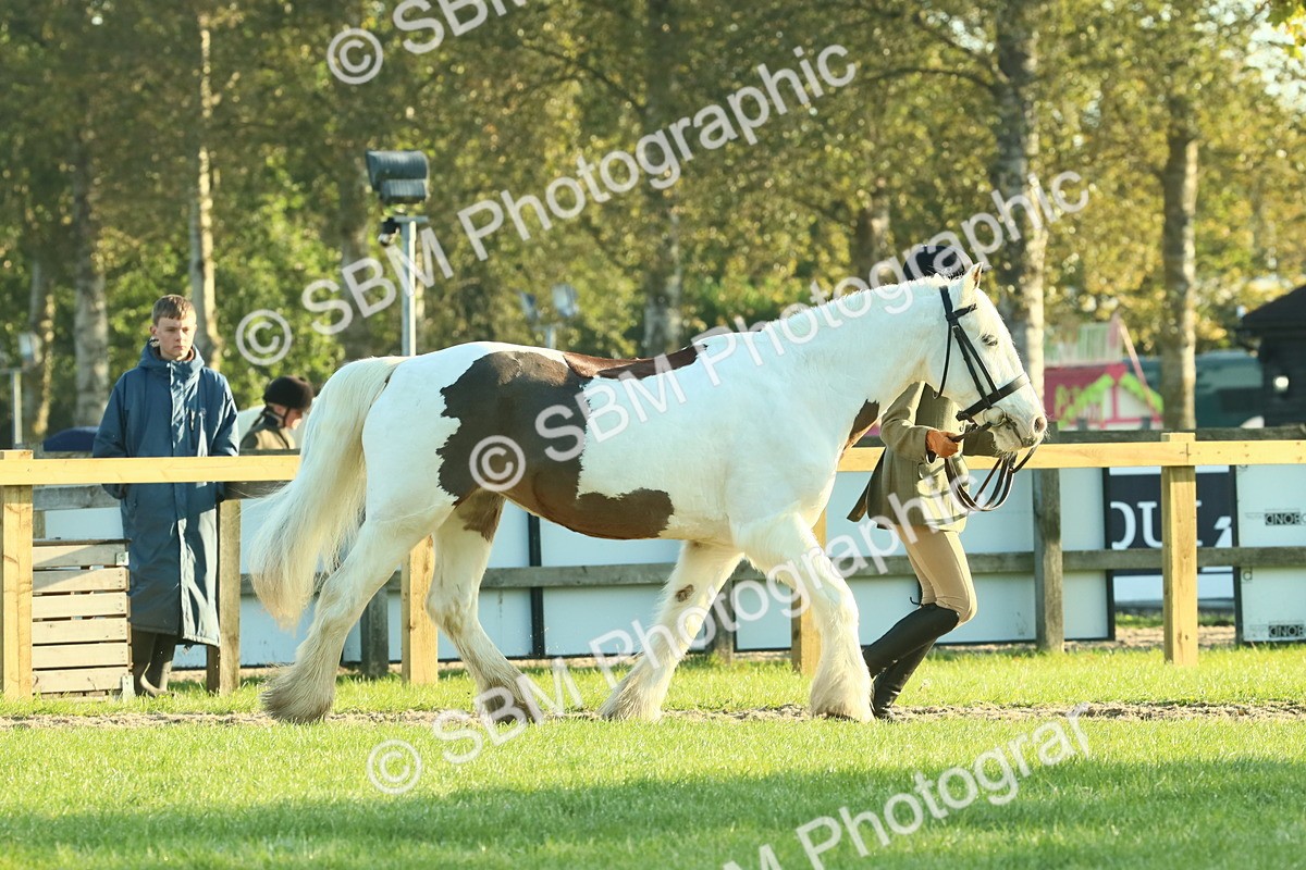 SBM_57327 - S37 - Starters In Hand Showing