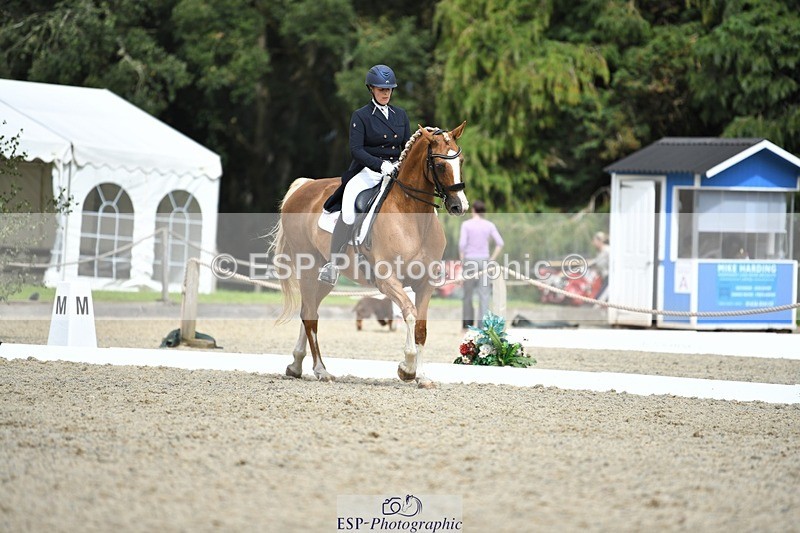 230812-144338-04777 - Cls 7 FEI PSG Bronze