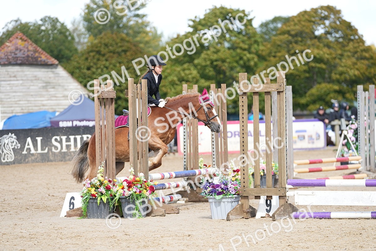 SBM_21283 - J49 - Open 50cm