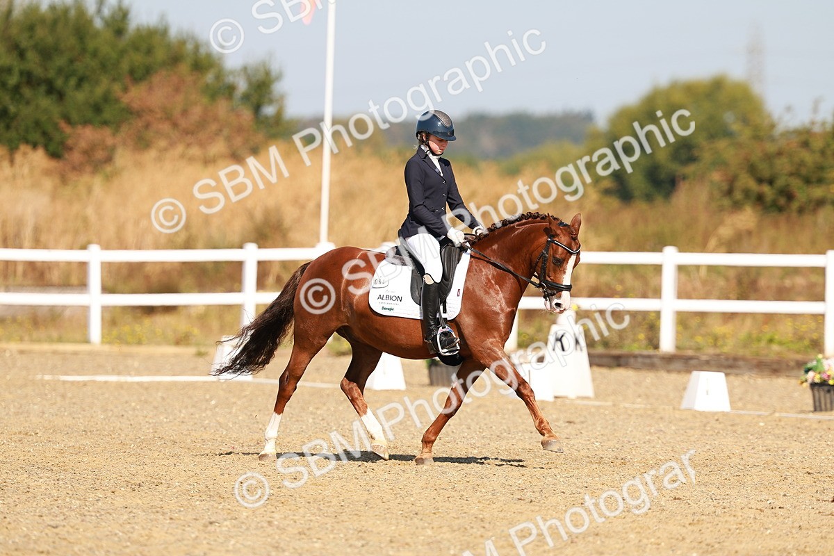 SBM_016824 - Class 9 - N5 Bronze 9.30.10.19