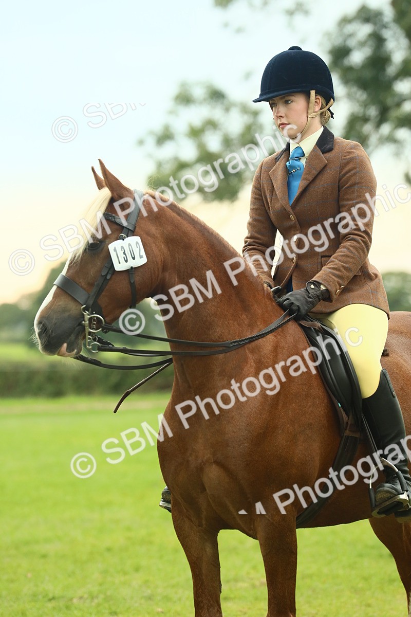 SBM_72250 - S60 - Mountain & Moorland Ridden Large Breeds