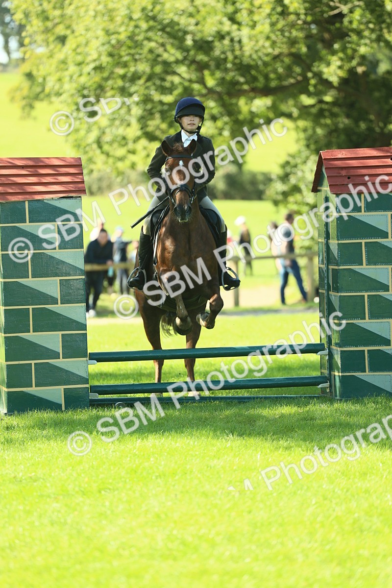 SBM_39164 - S29 - Novice & Newcomers Working Hunter Pony