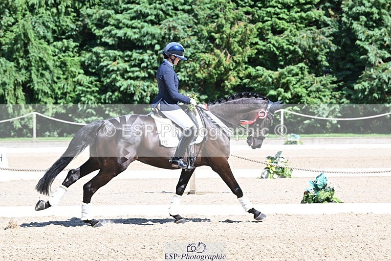 240811-153530-06688 - Adv Medium Gold