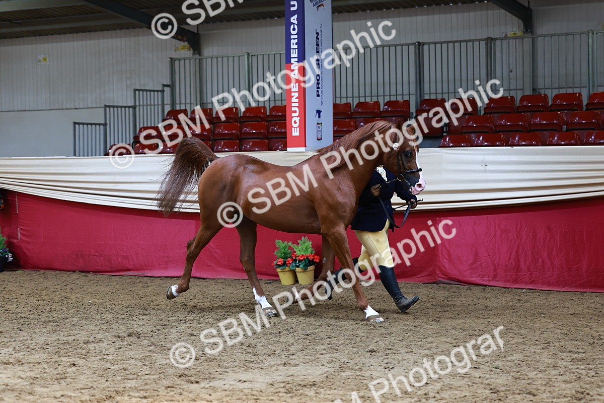 SBM_23019 - Supreme Final - IH  Champ