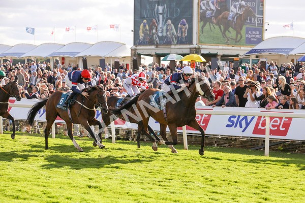 240824-Race 7-Sir Busker-9251 - Race 7 5.20pm Sky Bet Finale Handicap