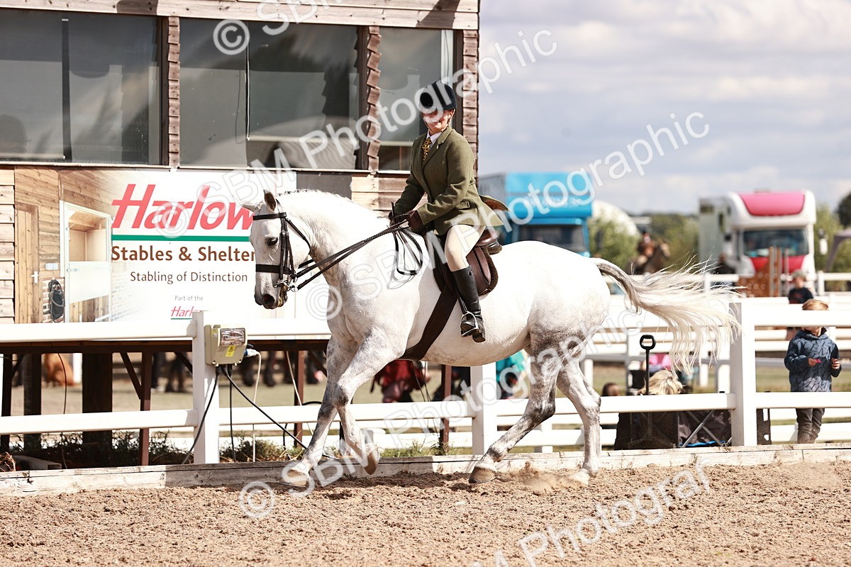 SBM_14446 - Class 410 - Grassroots Ridden - Horse