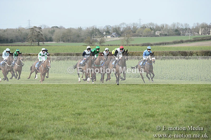 PtP 230319 409 - VWH Hunt Siddington Point-to-Point Racing 23/03/19