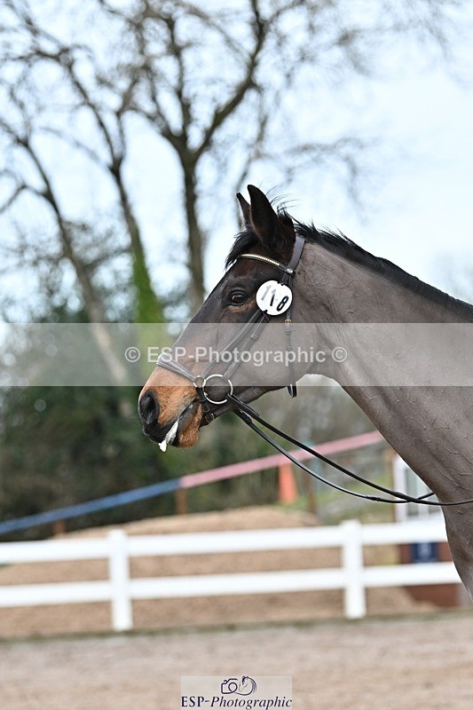 250125-141020-00774 - Dressage - CT Class 7 BE Novice 112