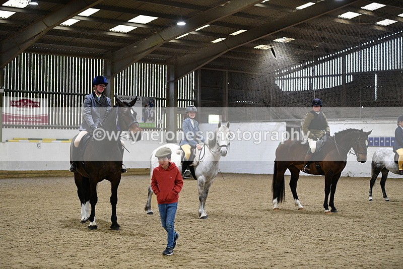 WJ5_8095 - Class 13 Ridden Part Breed