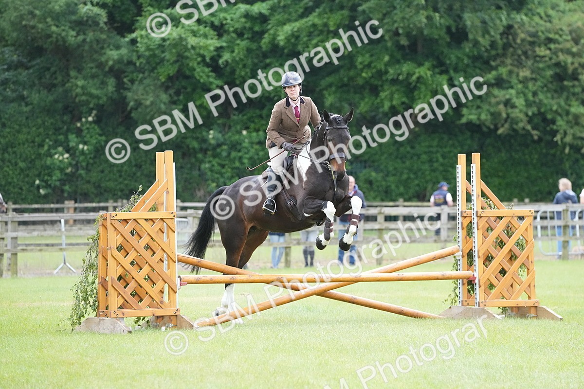 SBM_12554 - Class 97-98 - LIHS BSHA Rising Star Working Show Horse Hunter