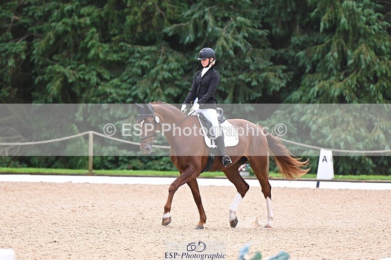 240809-121653-00722 - 185-Daisy.Hedges-Felicia.v