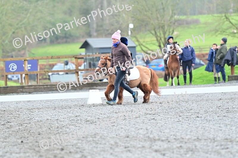 20260125-0921 - Class 9a - Walk Trot Assisted