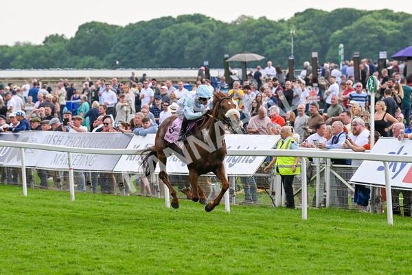 170524-Race 4-Giavellotto-8078 - Race 4 3.45pm Boodles Yorkshire Cup Stakes