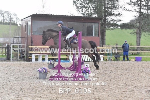 BPP_0195 - CLASS 1 FRI Club/ Unaffiliated 80cms Open