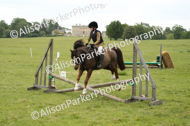 20250517-1143 - Class 21 - Novice Working Hunter