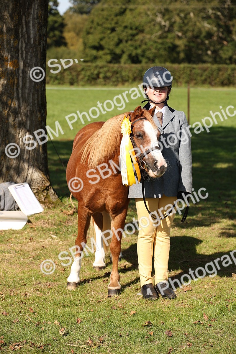SBM_36692 - S10 - Best In Hand Horse & Pony