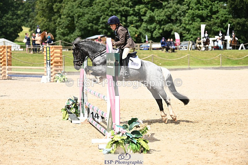 240824X-125605-25673 - 70cm Jump Off