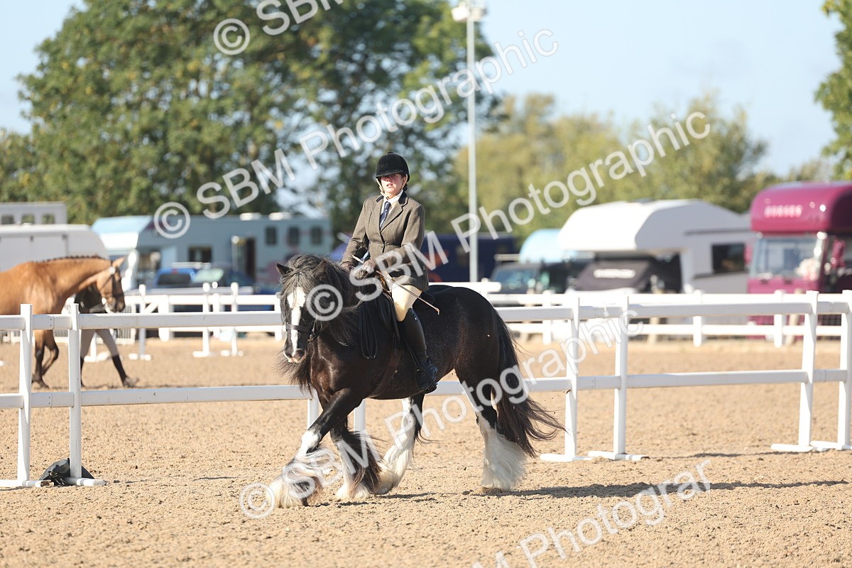 SBM_22200 - Class 802 - Ridden Groom Helpers Class