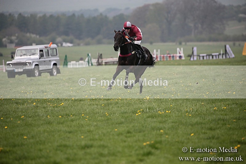 PtP 210418 94 - South & West Wilts Point-to-Point Larkhill 21/04/18