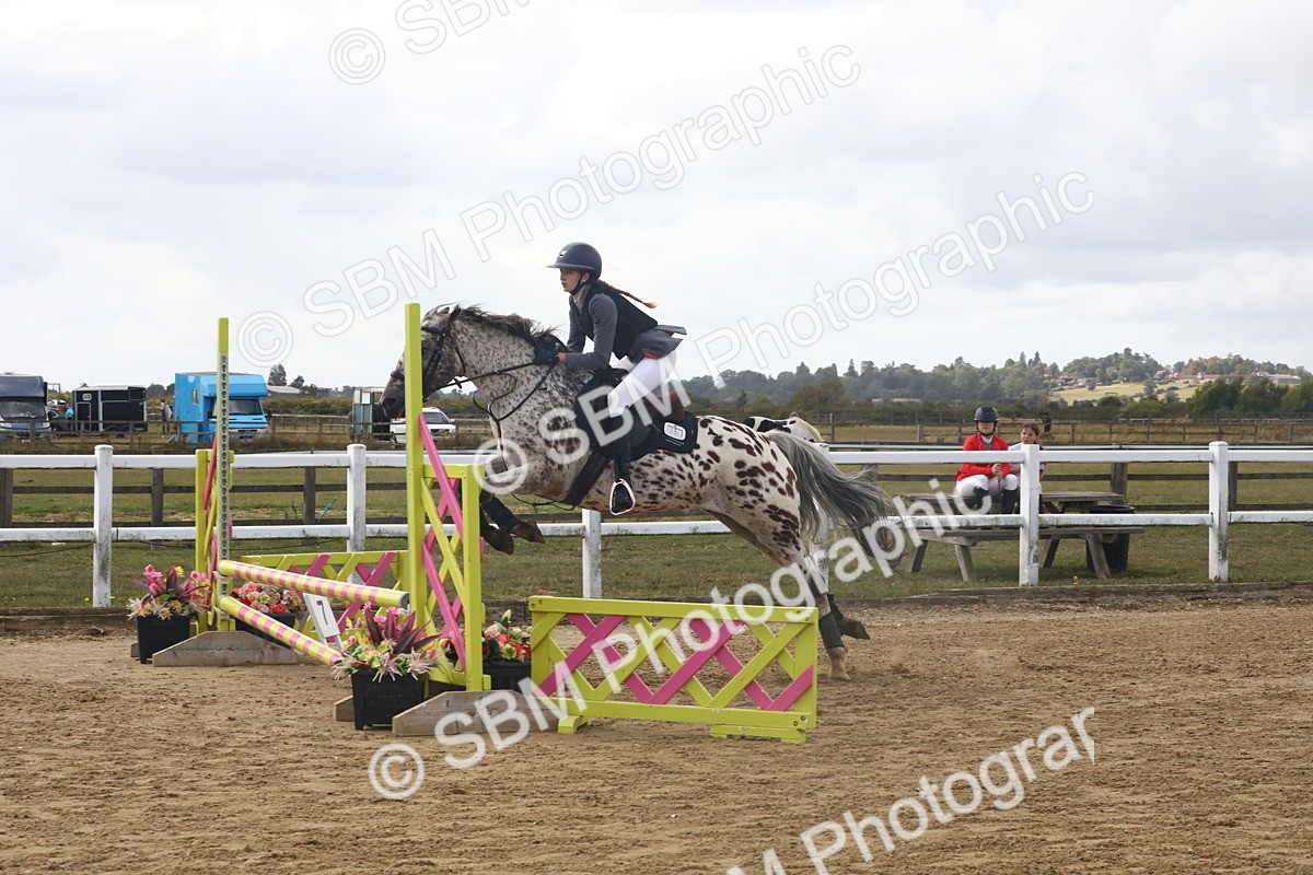 SBM_006531 - Class 6 - 60cm Champs