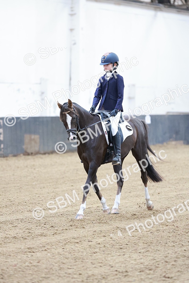 SBM_003305 - Intro 3