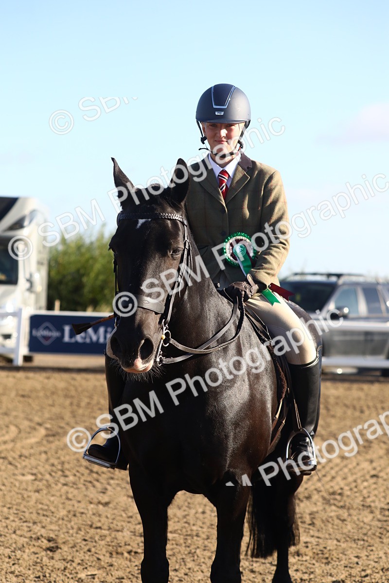 SBM_07931 - Class 501 - Riding Club Pony