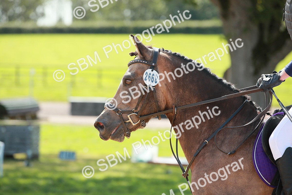 SBM_21911 - E11 - Eventers Challenge 60cm Championship