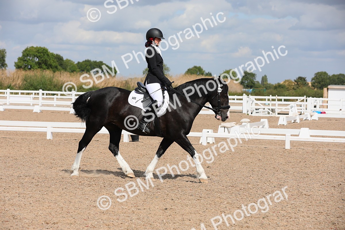 SBM_04173 - Class 31 Prelim 1