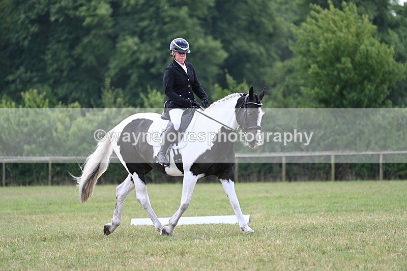 WJ7_5286 - Time 11:22 to 11:51