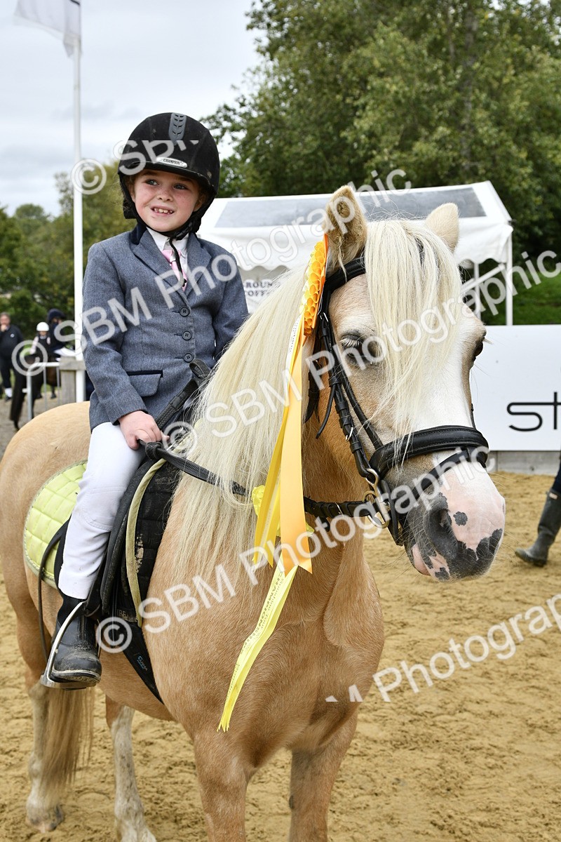 SBM_66251 - J2a mini Tour Junior Pony 30cm Championship