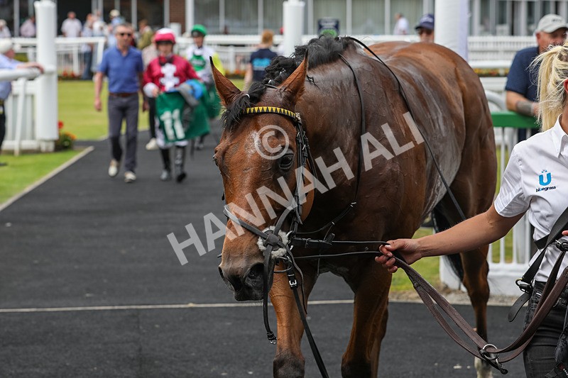 240624-Race 4-Golden Rainbow-0285 - Race 4