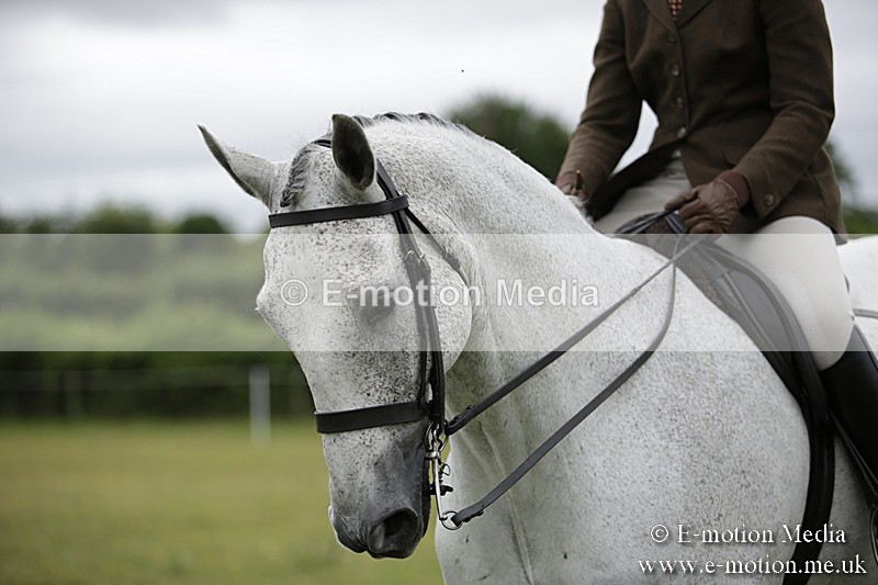 BVR160717-758 - Ring 1 BVRC Show 16/07/17