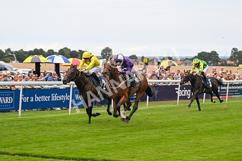 290725-Race 3-Ancient Egypt-0125 - Race 3