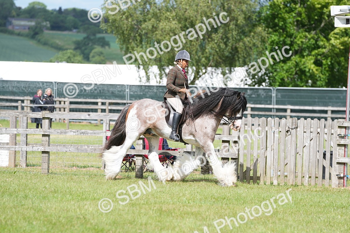 SBM_17200 - Class 107-108 - LIHS BSPS Performance Coloured Horse Pony