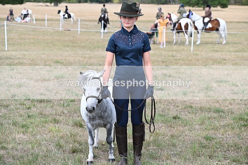 WJ6_7086 - Class 21 Shetland & Mini Horses
