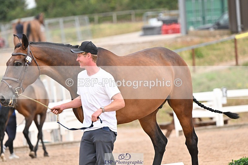 250716-151929-01871 - Trot Up 2.30 to 3.30