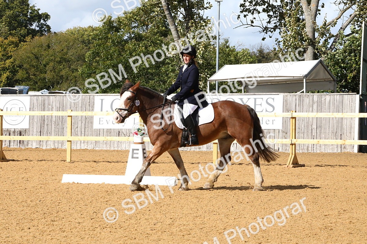 SBM_23601 - D5 - Small Tour Championshop Intro 2