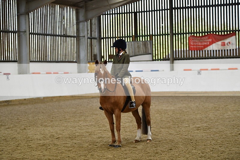 WJ5_6220 - Class 9 Ridden Veteran