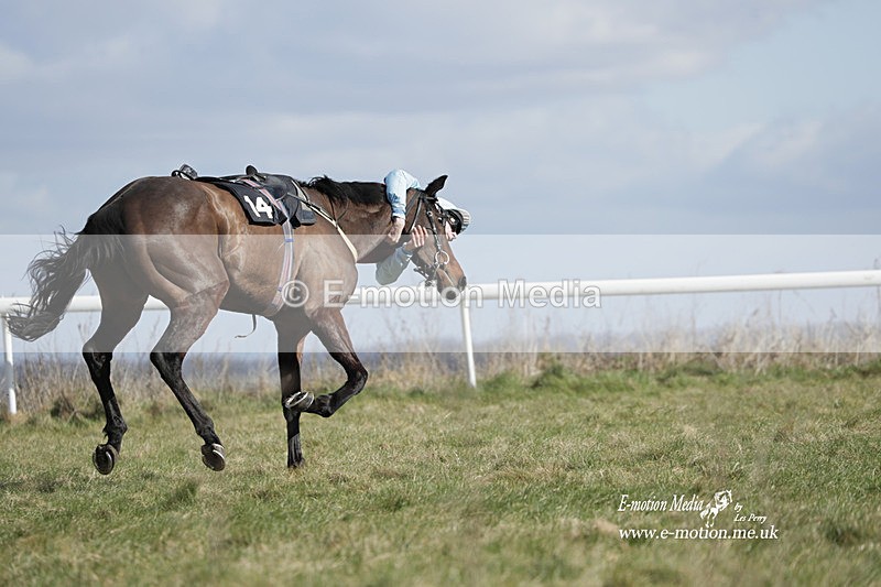 PtP 260223 503 - South & West Wilts Point-to-Point Larkhill 26/02/23