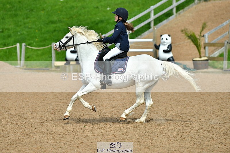 230513A-145556-01475 - Cls 38 Club 80cm