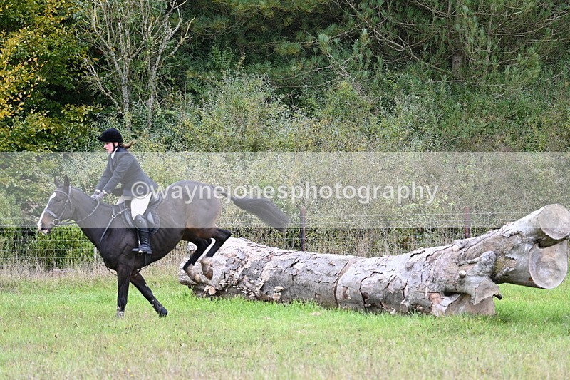 WJ7_3662 - Camera 1 Line 1