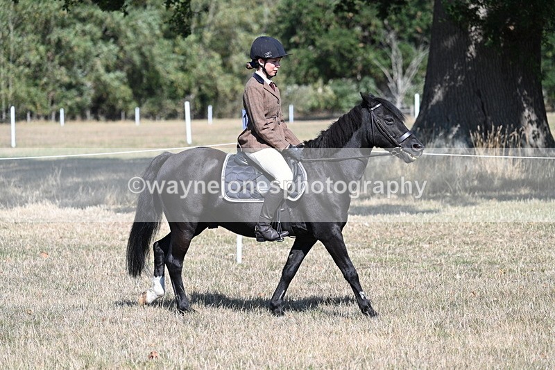 WJ7_3461 - Class 9 Mountain & Moorland Ridden