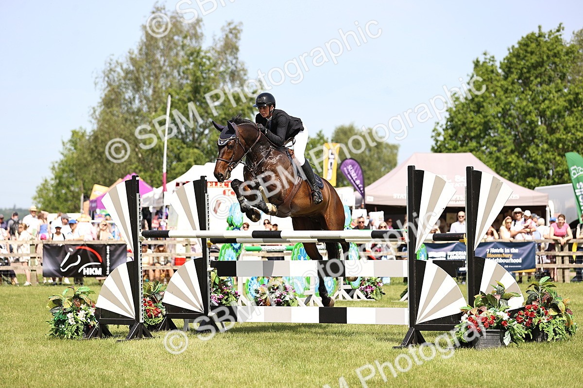 SBM_03216 - Class 201 - British Horse Feedds Speedi Beet HOYS Grade C