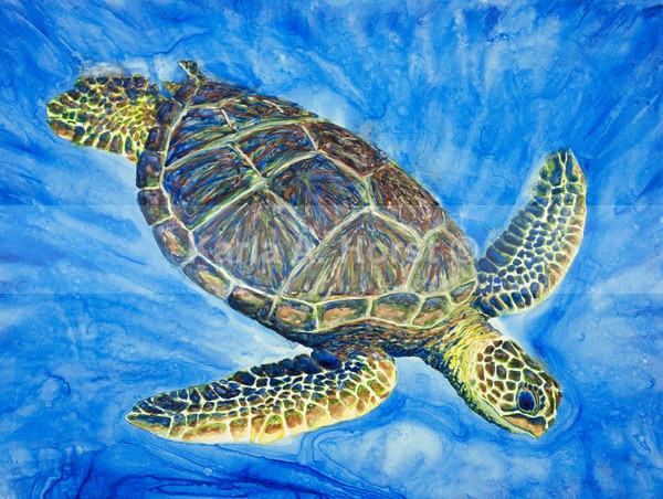 Tortuga - Greeting Cards and Journals